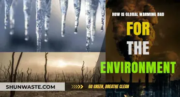 Global Warming's Devastating Impact: Environmental Consequences We Can't Ignore