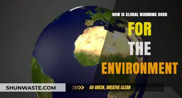 Unexpected Benefits: How Global Warming Impacts Ecosystems Positively