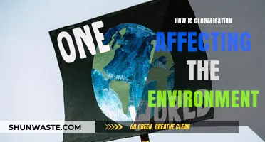 Globalization's Environmental Impact: Challenges, Consequences, and Sustainable Solutions