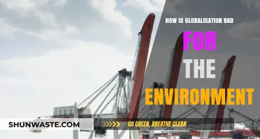 Globalization's Environmental Toll: Uncovering Its Harmful Impact on Our Planet