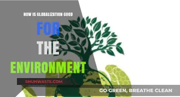 Globalization's Green Impact: Uniting Nations for a Sustainable Future