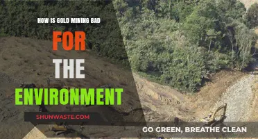Gold Mining's Devastating Environmental Impact: Destruction, Pollution, and Ecosystem Loss