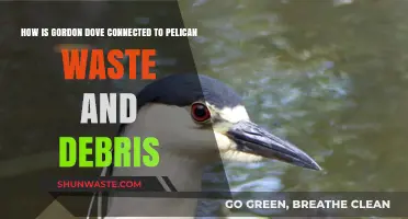 Gordon Dove's Role in Pelican Waste and Debris Uncovered