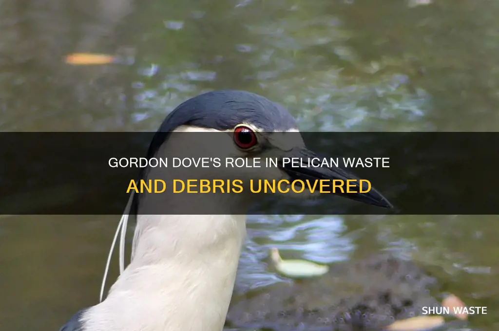 how is gordon dove connected to pelican waste and debris