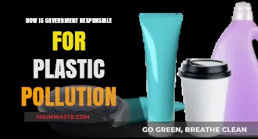 Government Accountability for Plastic Pollution