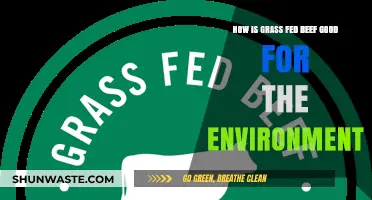 Grass-Fed Beef: A Sustainable Choice for a Healthier Planet