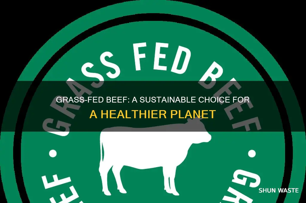how is grass fed beef good for the environment
