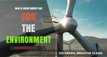Green Energy's Hidden Costs: Environmental Impacts You Need to Know