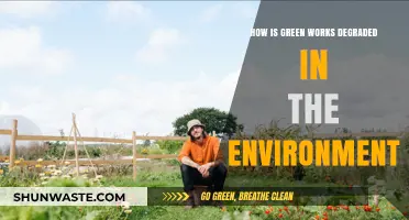 Understanding Green Works Degradation: Environmental Breakdown and Impact Explained