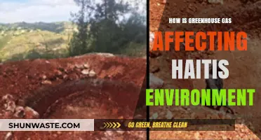 Greenhouse Gas Emissions: Devastating Haiti's Fragile Environment and Ecosystems