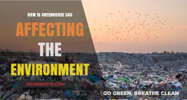 Greenhouse Gas Emissions: Devastating Impacts on Our Environment and Future
