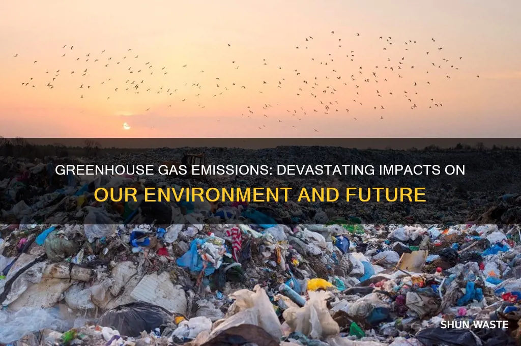 how is greenhouse gas affecting the environment