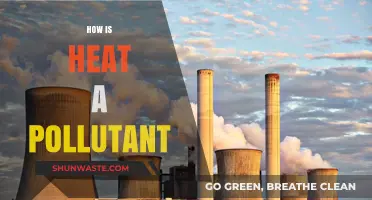 Heat as a Pollutant: Understanding Thermal Pollution