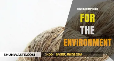 Hemp's Eco-Friendly Impact: Sustainable Solutions for a Greener Planet