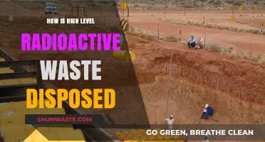 Safe Disposal of High-Level Radioactive Waste: Methods and Challenges