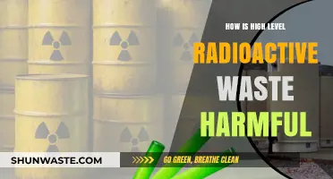 High-Level Radioactive Waste: Unseen Dangers and Long-Term Environmental Threats