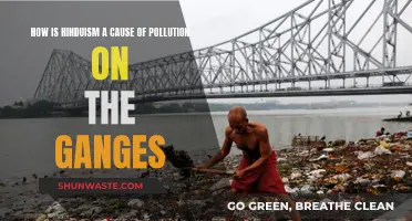 Unveiling Hinduism's Impact: Ganges Pollution's Religious Roots