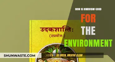 Hinduism's Eco-Friendly Wisdom: Sustainable Practices for a Greener Planet