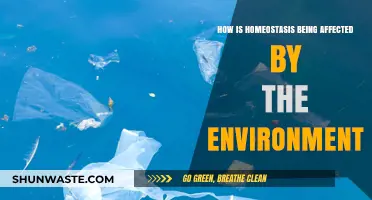 Environmental Impacts on Homeostasis: Balancing Life Amidst Changing Conditions