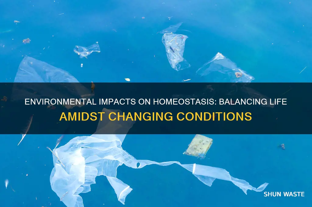 how is homeostasis being affected by the environment