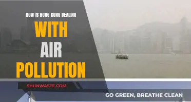 Hong Kong's Battle Against Air Pollution