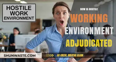 Adjudicating Hostile Workplaces: Legal Standards and Employee Protections Explained