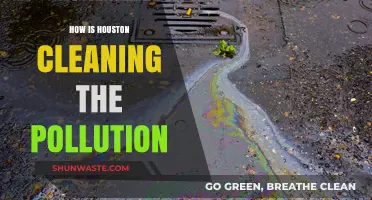 Houston's Fight Against Pollution: Strategies and Initiatives
