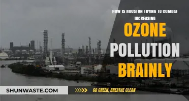 Houston's Fight Against Ozone Pollution