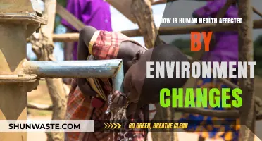 Environmental Shifts: Unraveling the Impact on Human Health and Well-being