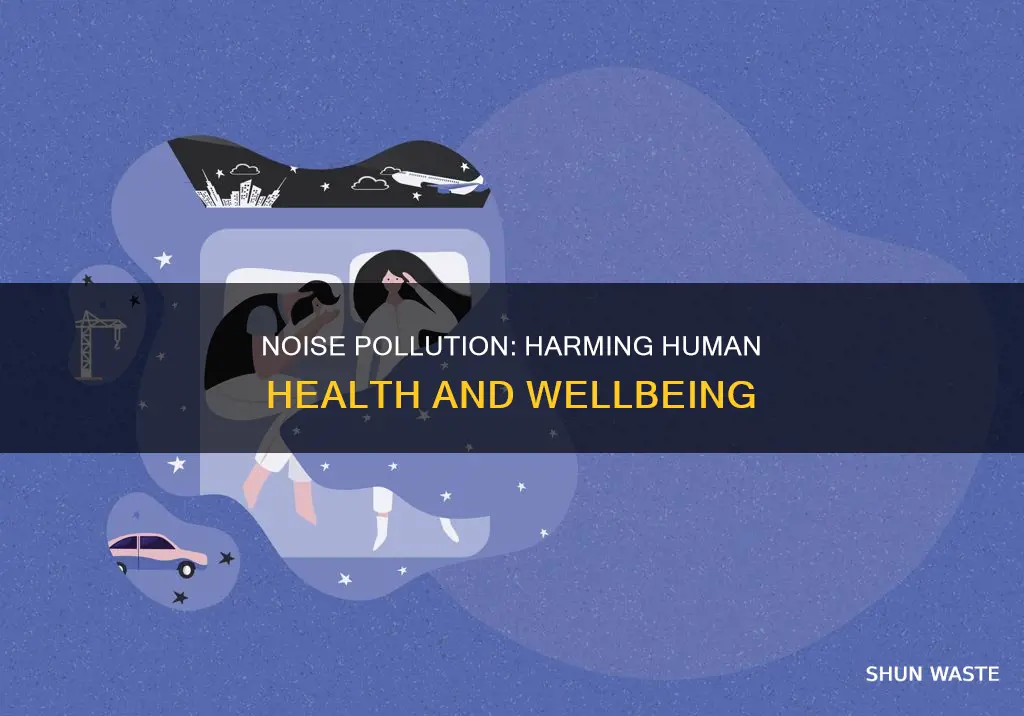 how is human health affected by noise pollution