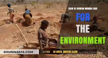 Human Mining's Devastating Environmental Impact: Destruction, Pollution, and Ecosystem Loss