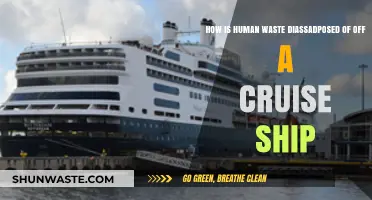 Cruise Ship Waste Disposal: How Human Waste is Managed at Sea