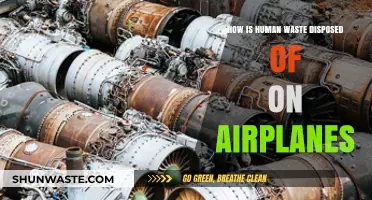 Airplane Waste Disposal: How Human Waste is Managed Mid-Flight