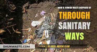 Sanitary Human Waste Disposal: Safe, Sustainable, and Eco-Friendly Methods