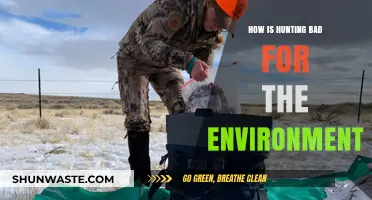 Hunting's Environmental Impact: Harming Ecosystems and Biodiversity