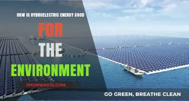 Hydroelectric Power: A Sustainable, Eco-Friendly Energy Solution for Our Planet
