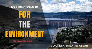 Hydroelectricity's Hidden Costs: Environmental Impacts and Ecosystem Disruption
