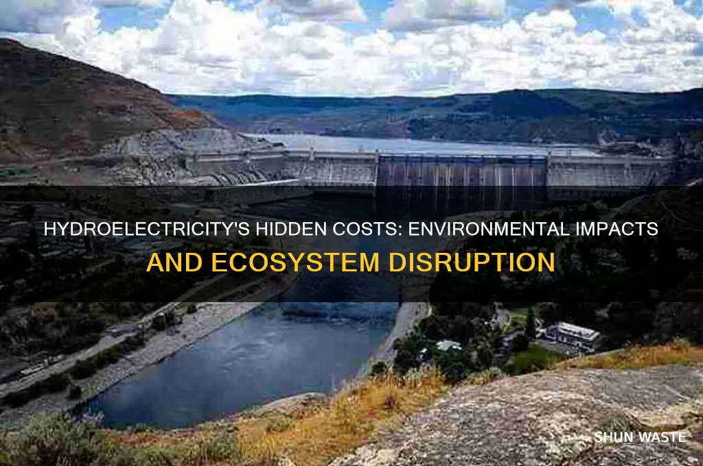 how is hydroelectricity bad for the environment
