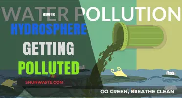 The Hydrosphere's Pollution Problem: Understanding the Crisis