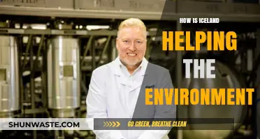 Iceland's Green Revolution: Innovative Environmental Solutions Leading the Way