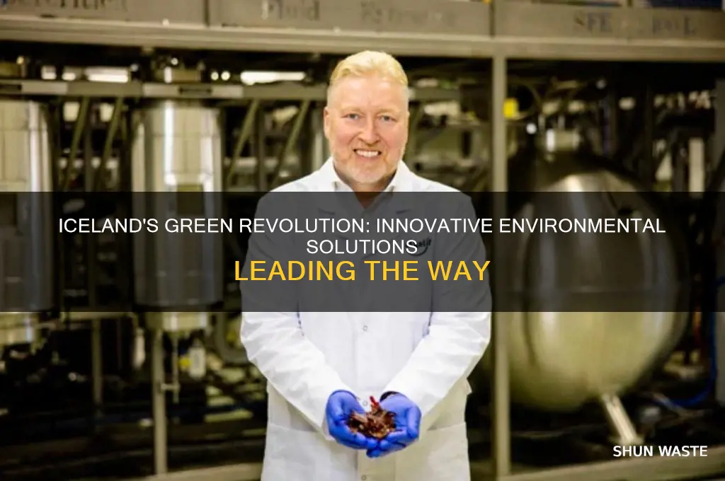 how is iceland helping the environment