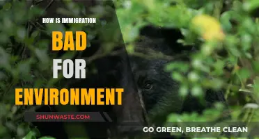 Immigration's Environmental Impact: Challenges and Unsustainable Growth Concerns