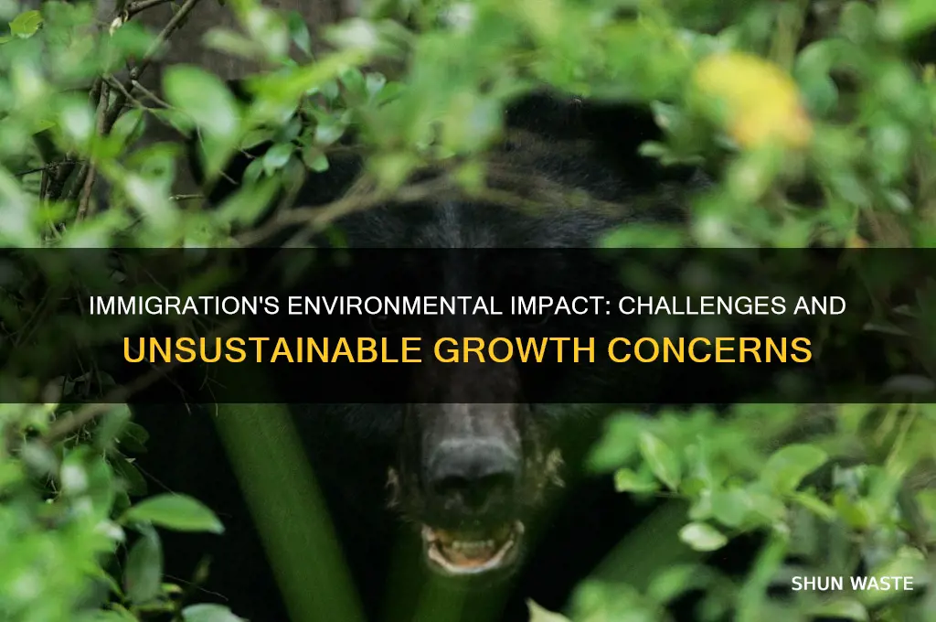 how is immigration bad for environment