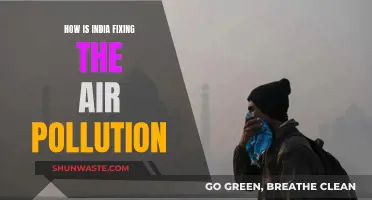 India's Battle Against Air Pollution
