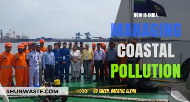 India's Coastal Pollution: Strategies and Challenges