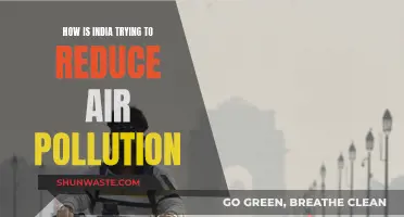 India's Fight Against Air Pollution: Strategies and Initiatives