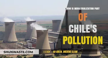 Chile's Pollution Crisis: Industrialization's Dark Side