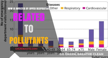 Air Pollution and Upper Respiratory Infections: What's the Link?