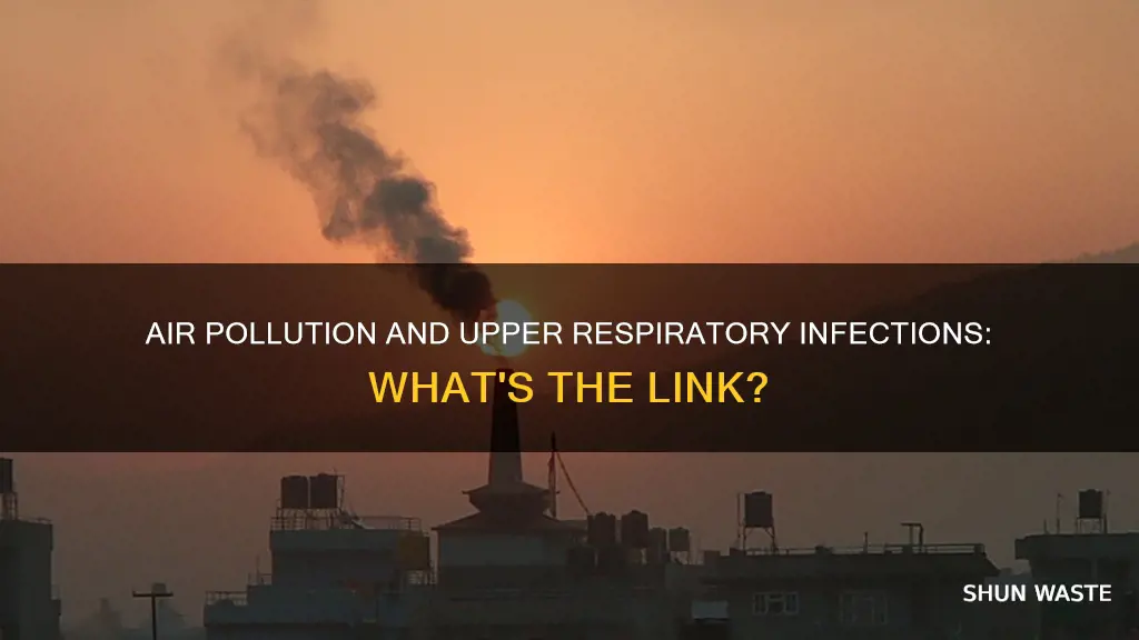 how is infected by upper respiratory related to pollutants