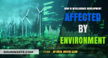 Environment's Impact: Shaping Intelligence Development in Dynamic Surroundings